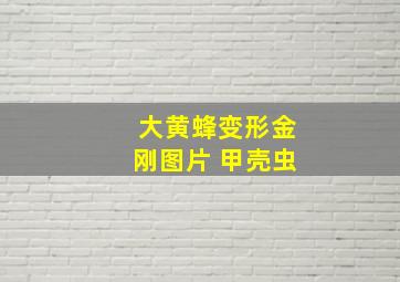 大黄蜂变形金刚图片 甲壳虫